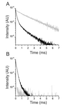 Figure 2. Pretreatment with unlabeled ouabain inhibits donor quenching and acceptor emission.A. Comparison of the donor decay in the presence of 10µM Bodipy-Fl Ouabain (black line), with thedonor decay from an experiment in which the oocyte was first pretreated with 10 µM unlabeled ouabain,prior to the addition of 10 µM Bodipy-Fl Ouabain.