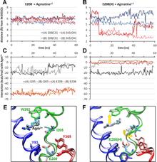 Figure 6. Effect of Glu-208 protonation on the Agm2+coordination geometry and energetics and pivotal role of Ile-205.