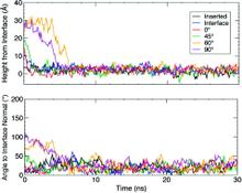 Figure 6. (Top) The height of the keel Cα atoms above the DCLE/water interface, which was assumed to be the average position of the first layer of DCLE molecules in contact with water. (Bottom) The angle between the GLA domain’s axis, determined by the vector traced from the Ca2+-4 and the Cα of Phe40 (see Figure 1), and the interface normal (z-axis).